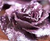 Edible Glitter AF